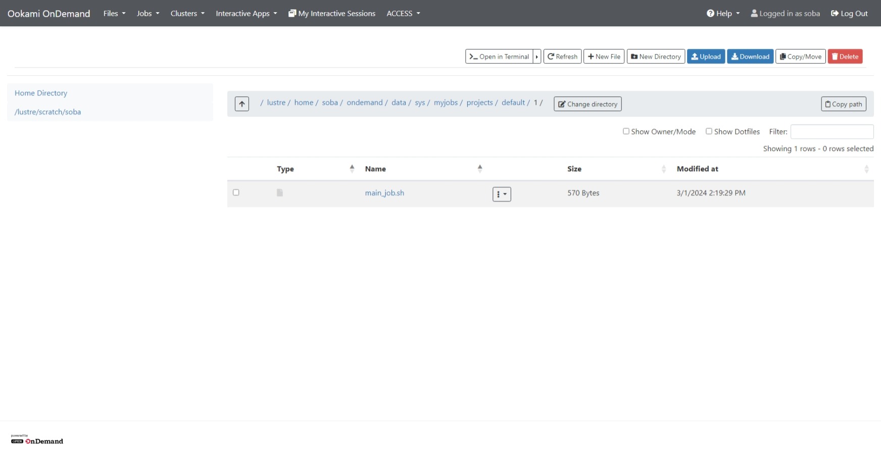 Open OnDemand file manager showing a project directory