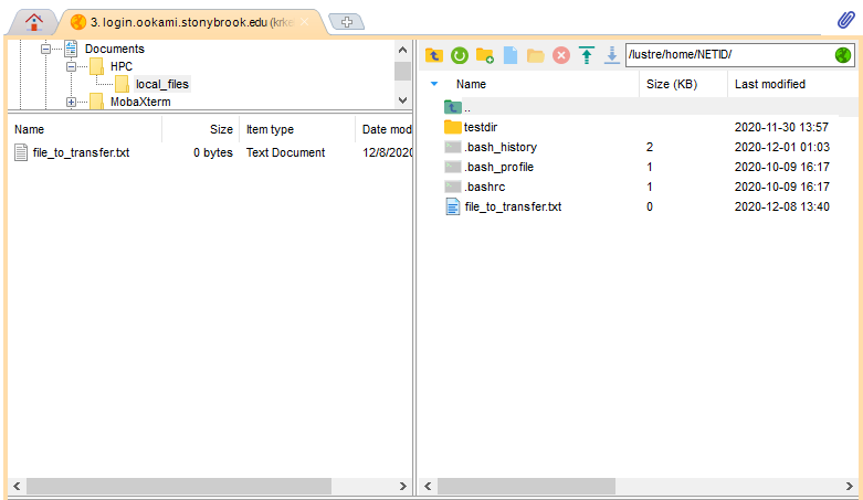 MobaXterm file transfer pane showing local and remote directories